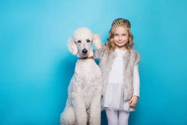 beautiful little princess with dog. friendship. pets. studio portrait over blue background - real people blue white friendship imagens e fotografias de stock