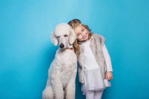 beautiful little princess with dog. friendship. pets. studio portrait over blue background - real people blue white friendship imagens e fotografias de stock