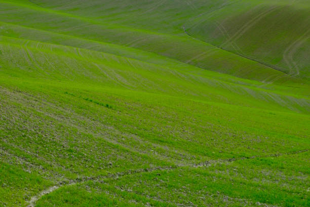 istock The famous Tuscan Crete Senesi 655956802