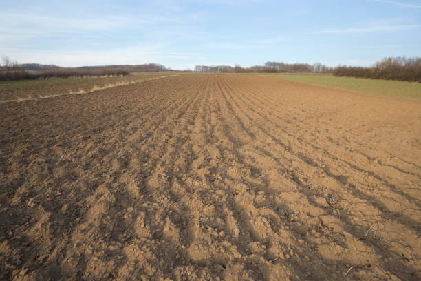 istock Plowed agriculture field on sunny day in early springtime 655965946