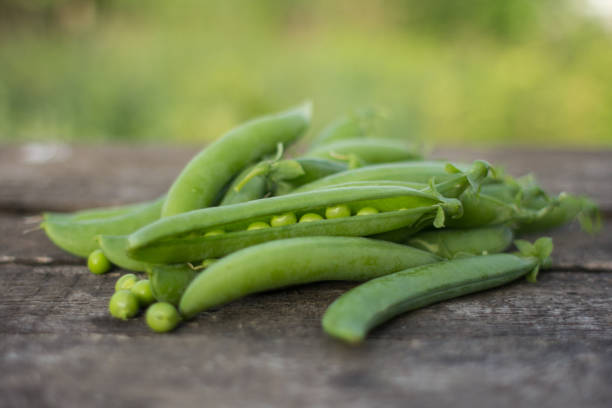 istock Green peas on wooden background 655966216