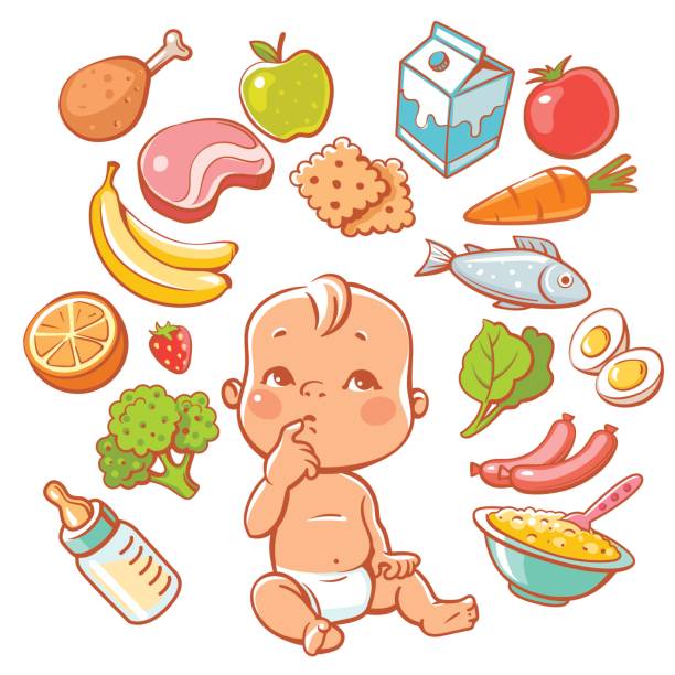 ilustraciones, imágenes clip art, dibujos animados e iconos de stock de pequeño bebé elegir alimentos. - baby food