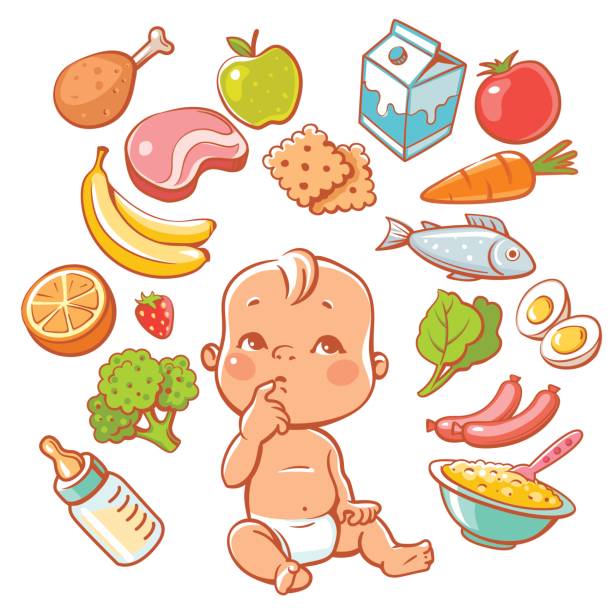 작은 아기 음식을 선택. - baby chicken illustrations stock illustrations