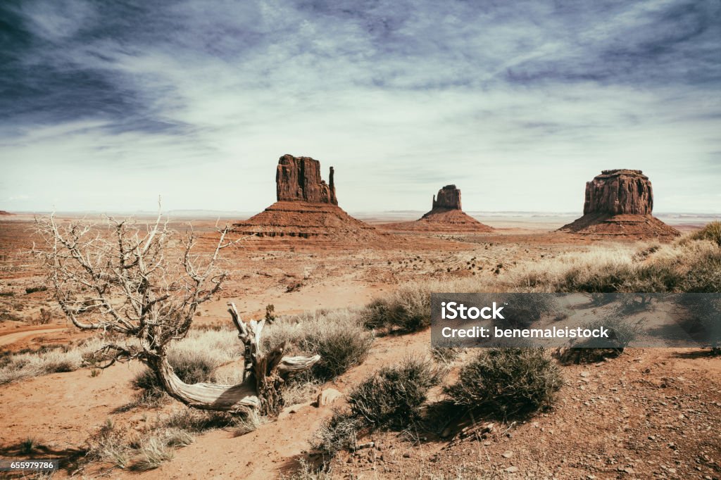 panoramic photo of the Monument Valley Park in Arizona in USA panoramic photo of the Monument Valley Park in Arizona in USA with vintage effect, tree and dry vegetation in the foreground Wild West Stock Photo