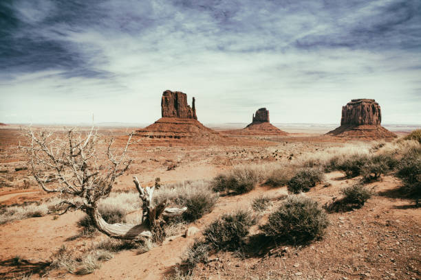 панорамная фотография парка долины монументов в аризоне в сша - national park tribal стоковые фото и изображения