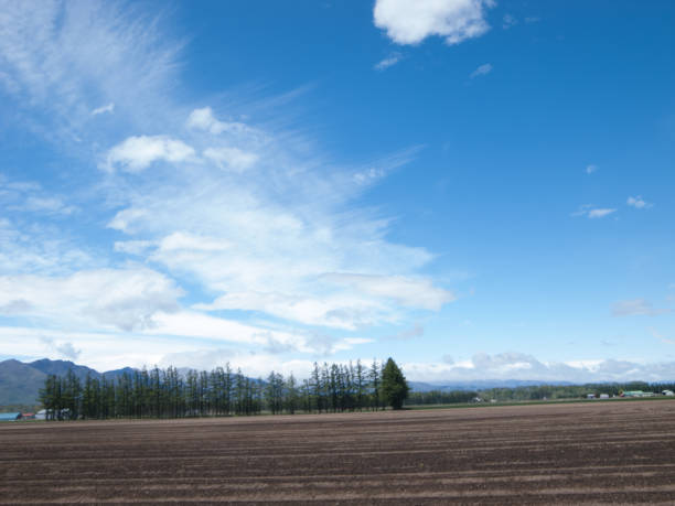 Field of Tokachi Field of Tokachi 田畑 stock pictures, royalty-free photos & images