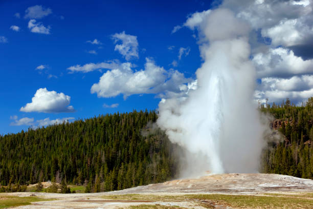 Yellowstone National Park Yellowstone National Park upper geyser basin stock pictures, royalty-free photos & images