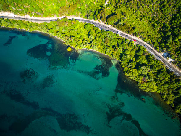 istock Lake Taupo 655985284