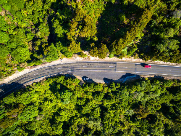 istock Lake Taupo Road 655985522