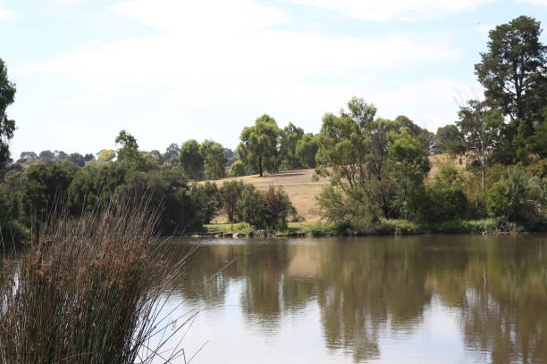 istock Lake in the Australian Bush 655994360