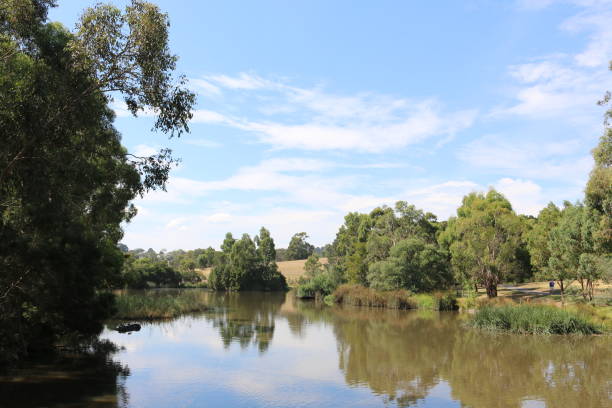 istock Lake in the Australian Bush 655994524