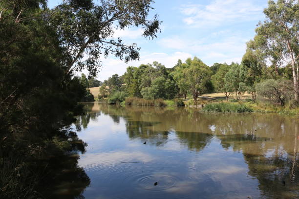 istock Lake in the Australian Bush 655994628