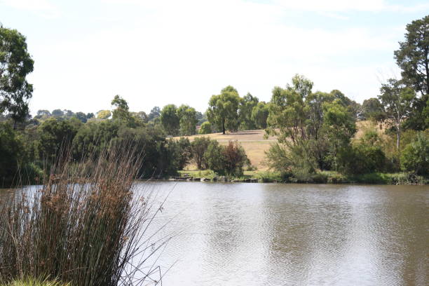 istock Lake in the Australian Bush 655994650