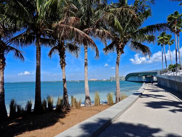 istock Bird Key Island in Sarasota, FL 656006380
