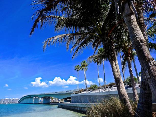 istock Bird Key Island in Sarasota, FL 656006386