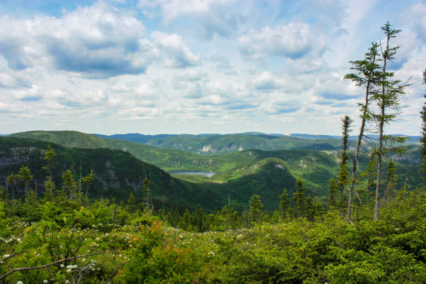 istock parc des grands-jardins in quebec 656011858