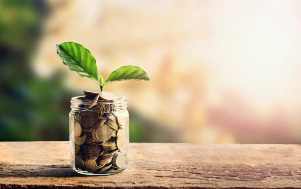 istock concept money saving coins in jar and small tree 656019356