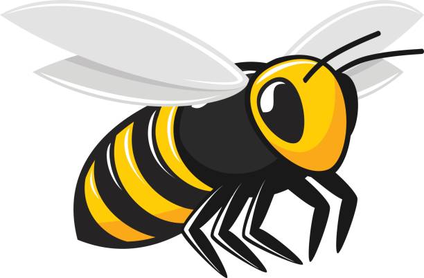 ilustrações de stock, clip art, desenhos animados e ícones de illustration of flying bee. - abelha de mel ilustrações