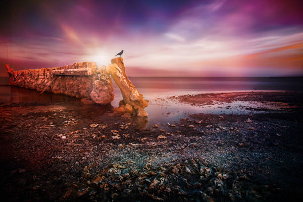 Sunset at the polluted Bombay Beach, Salton Sea, California.