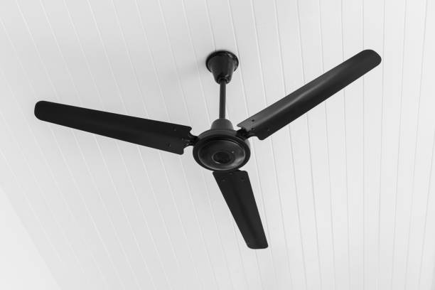 istock Ceiling Fan in black and white tone 656028898