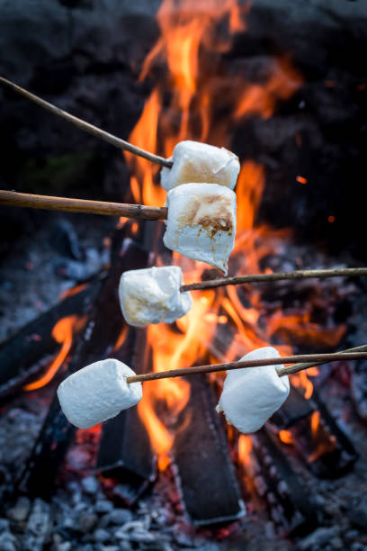 istock Sweet and hot marshmallows on stick over the bonfire 656028972
