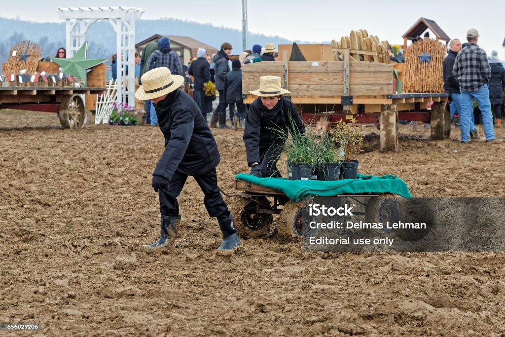 Enturbiar el día en la subasta de beneficio del Condado de Lancaster - Foto de stock de Aire libre libre de derechos