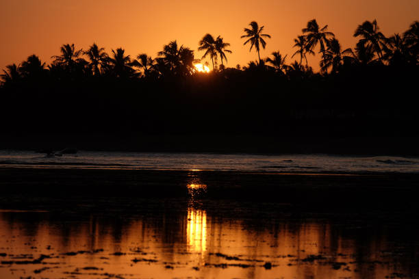 Sunset in Praia do Forte - Bahia, Brazil