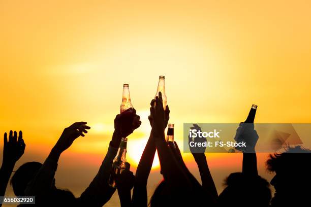 Freunde Eine Strandparty Getränke Toast Feierkonzept Stockfoto und mehr Bilder von Bier