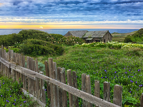 Old barn located in The Sea Ranch in northern California