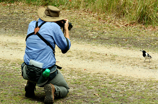 Mature woman with camera photographing wildlife in Coombabah Lake Conservation Park IN Gold Coast, Australia