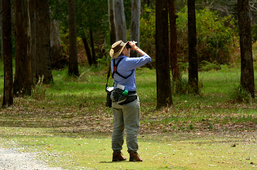 Mature woman birdwatching watching through binoculars in Coombabah Lake Conservation Park IN Gold Coast, Australia