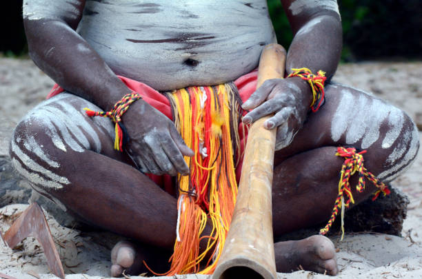 Aboriginal culture show in Queensland Australia Yugambeh Aboriginal body coverd with body paint holds didgeridoo during Aboriginal culture show in Queensland, Australia. didgeridoo stock pictures, royalty-free photos & images