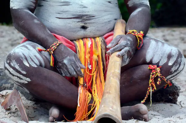 Yugambeh Aboriginal body coverd with body paint holds didgeridoo during Aboriginal culture show in Queensland, Australia.