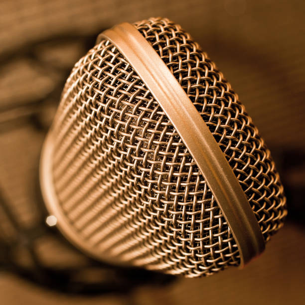 istock Detail of the microphone 656036250