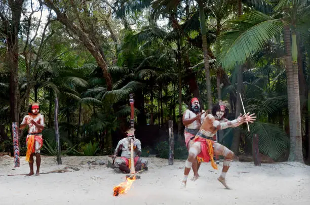 Group of Yugambeh Aboriginal warriors dance during Aboriginal culture show in Queensland, Australia.