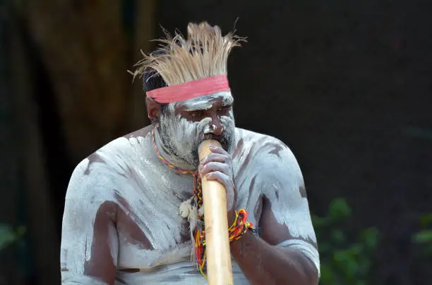 Portrait of a Yugambeh Aboriginal man play Aboriginal  music on didgeridoo, instrument during Aboriginal culture show in Queensland, Australia.