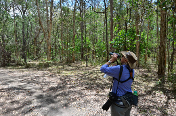 istock Mature woman birdwatching 656049432