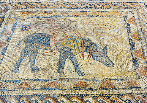 Floor mosaic in House of Athlete in Roman ruins, ancient Roman city of Volubilis. Morocco. North Africa