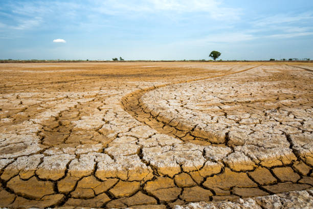istock Land with dry and cracked ground. 656065036