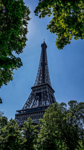 istock Eiffel Tower, Paris, France 656081764