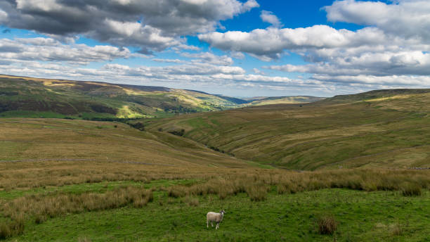 istock A cloudy day in the Yorkshire Dales, UK 656086590