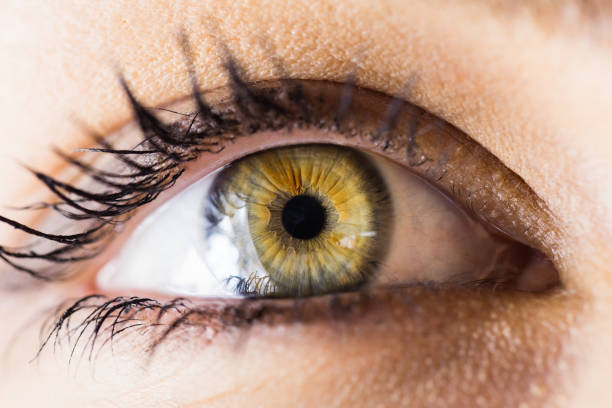 istock Beautiful woman eye against white background 656105332