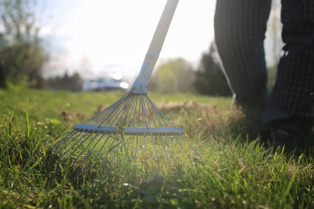 istock rakes to collect old grass 656112588