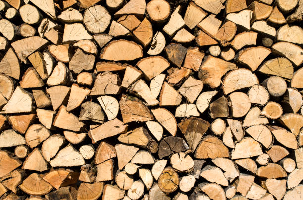 istock Dry chopped firewood logs in a pile 656115432