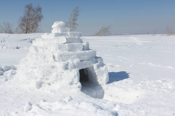 istock Igloo  on a snow glade in the winter 656116730