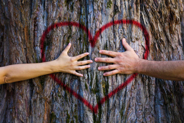 pareja tocando el corazón - tree men nature human hand fotografías e imágenes de stock
