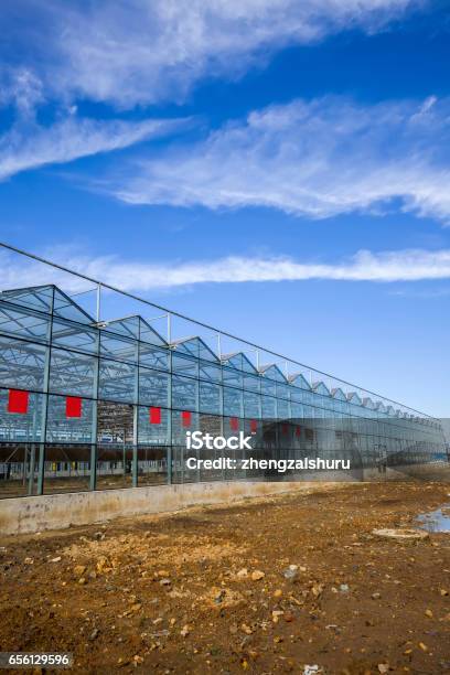 The Steel Structure Stock Photo - Download Image Now - Architecture, Blue, Building Exterior