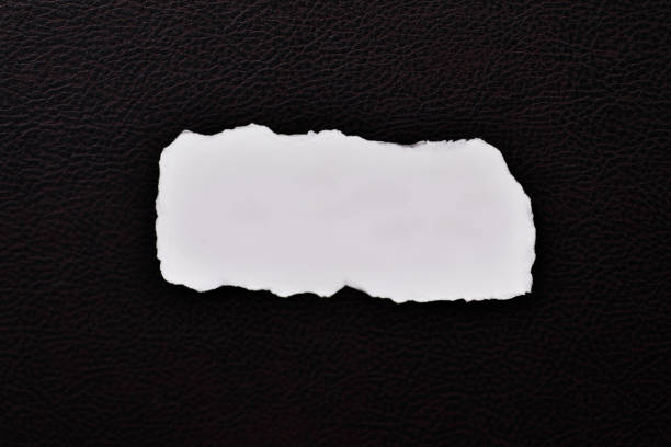 Scrap Paper Pictures | Download Free Images on Unsplash