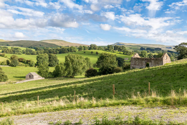 paisaje cerca de kirkby stephen, cumbria, reino unido - kirkby stephen fotografías e imágenes de stock