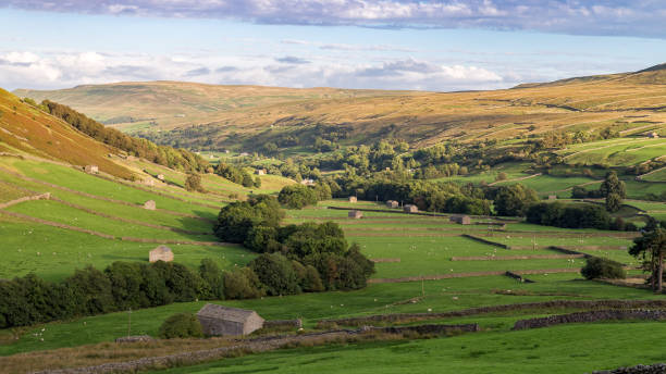 istock Landscape in the Yorkshire Dales 656130936